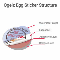 Ogelz 40Pcs Customized Farm Fresh Egg Carton Packaging Labels Stickers Set Personalized for Chicken Duck Stickers Extra Stciky 2X4 Inch Rectangle Orange(G05)