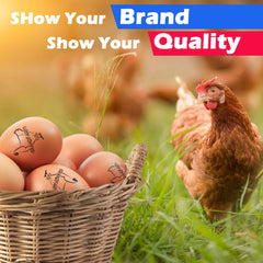 Ogelz Egg Stamp For Flesh Eggs Personalized Create Unique Designs Self-Inking Refill Ideal for Chicken Duck Goose Turkey Eggs Farm Enhance Your Egg Farm's Branding