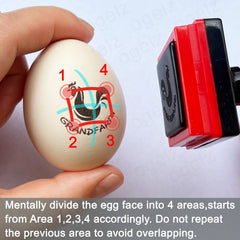 Ogelz Egg Stamp For Flesh Eggs Personalized Create Unique Designs Self-Inking Refill Ideal for Chicken Duck Goose Turkey Eggs Farm Enhance Your Egg Farm's Branding
